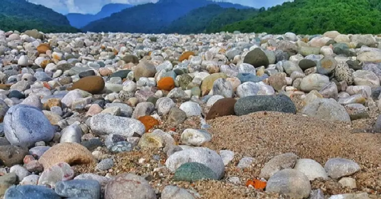 প্রতীকী ছবি